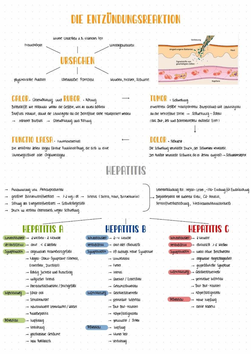 GESUNDHEIT
WISSENSCHAFT
-INFEKTIONSKRANKHEITEN- Erregermenge
lukubatiouszeit
Infektion.
biologisceler Toa: Erlöschen aller organfunktioueu
T