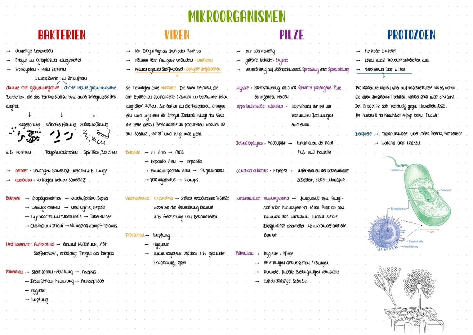 GESUNDHEIT
WISSENSCHAFT
-INFEKTIONSKRANKHEITEN- Erregermenge
lukubatiouszeit
Infektion.
biologisceler Toa: Erlöschen aller organfunktioueu
T