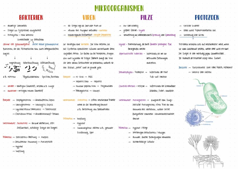 GESUNDHEIT
WISSENSCHAFT
-INFEKTIONSKRANKHEITEN- Erregermenge
lukubatiouszeit
Infektion.
biologisceler Toa: Erlöschen aller organfunktioueu
T