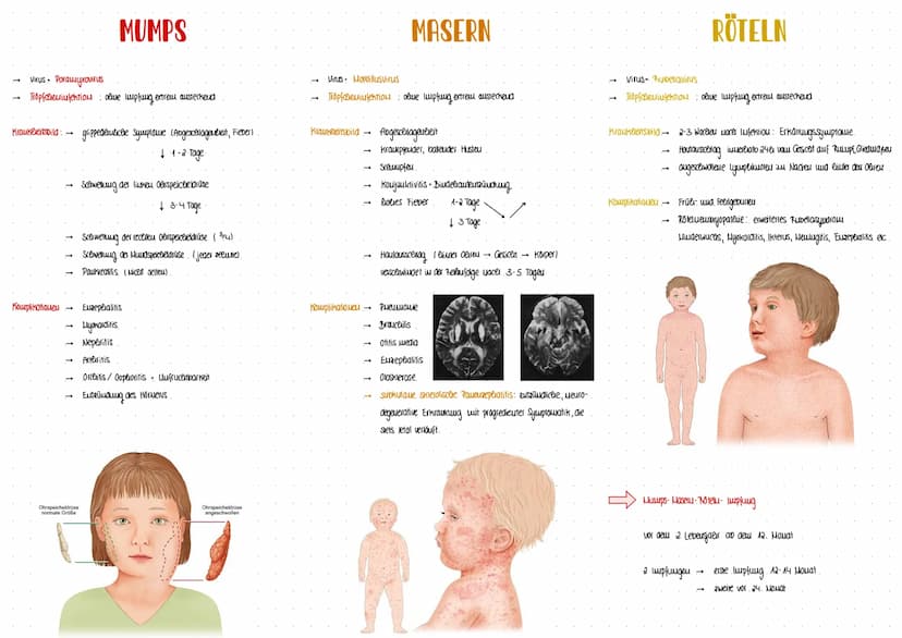 GESUNDHEIT
WISSENSCHAFT
-INFEKTIONSKRANKHEITEN- Erregermenge
lukubatiouszeit
Infektion.
biologisceler Toa: Erlöschen aller organfunktioueu
T