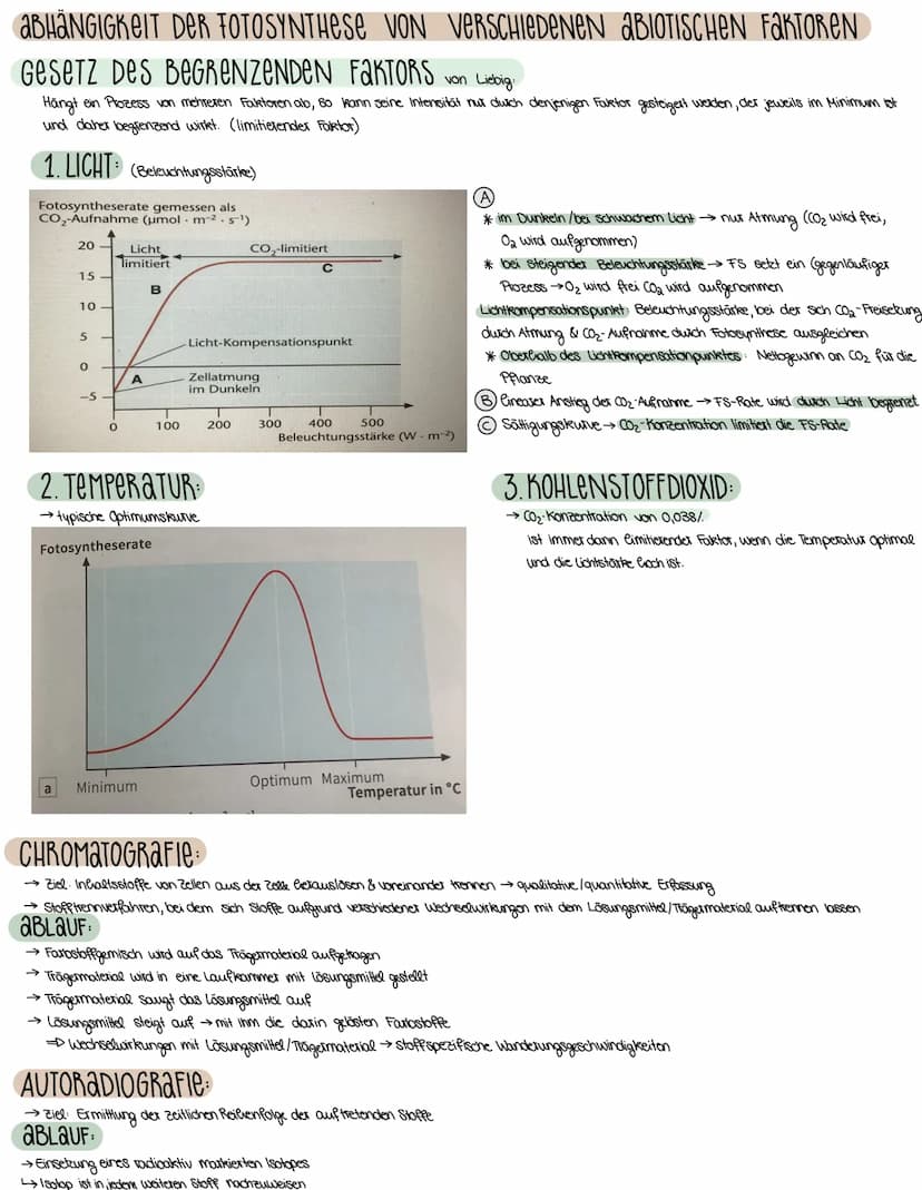 2. ASPEKTE ZUM HAUSHALT DER NATUR
FOTOSYNTHESE-ASSIMILATION
BEDEUTUNG DER FOTOSYNTHESE
→wichtiger Stoffwechselvorgang der Erde
→ Existenzgru