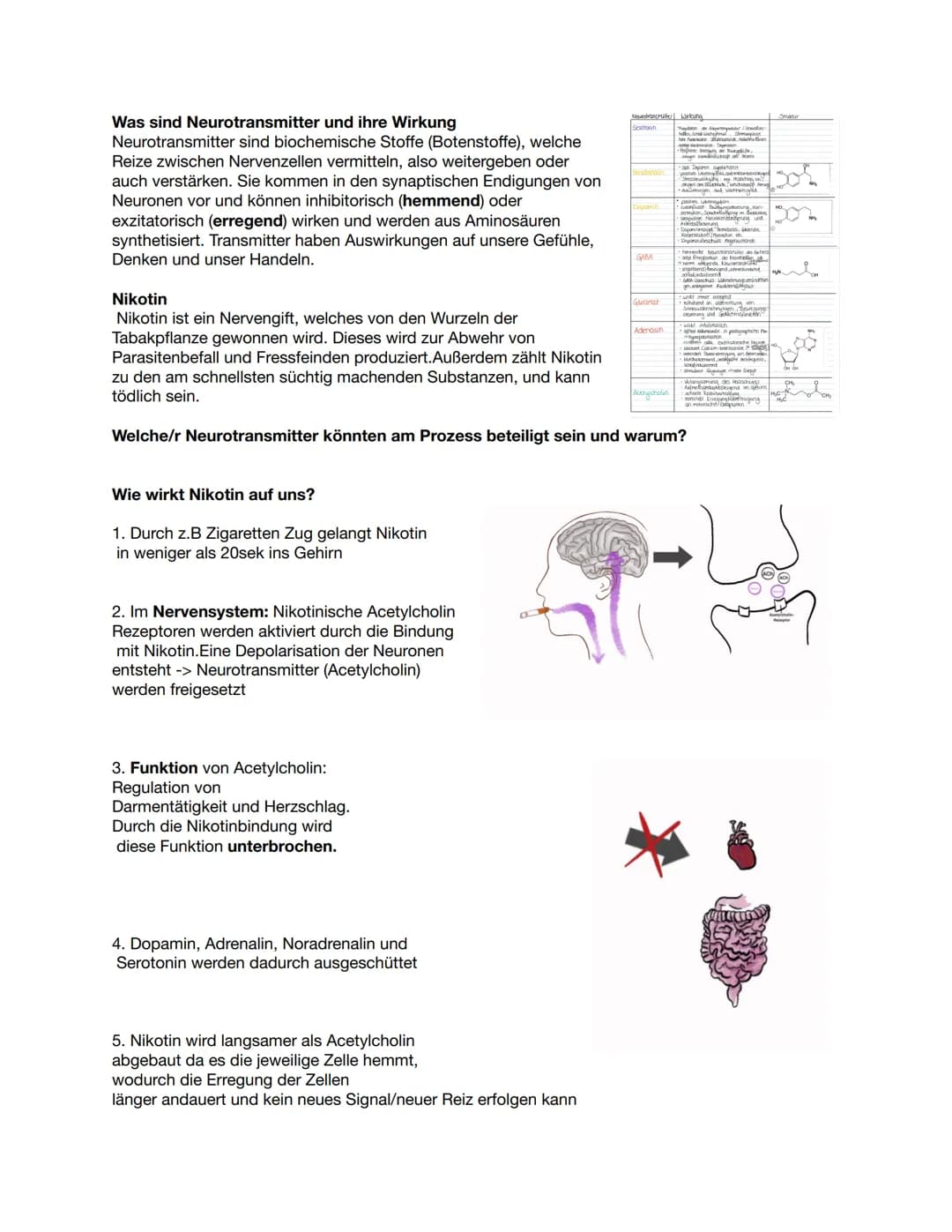 Was sind Neurotransmitter und ihre Wirkung
Neurotransmitter sind biochemische Stoffe (Botenstoffe), welche
Reize zwischen Nervenzellen vermi