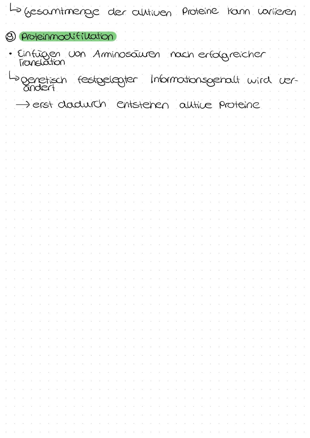 # Genregulation Eullaryoten

Regulation der Transkription

### ① Kontrolle der Lage der Chromosomen Im zelluern

*   zw. Zellteilung liegt D