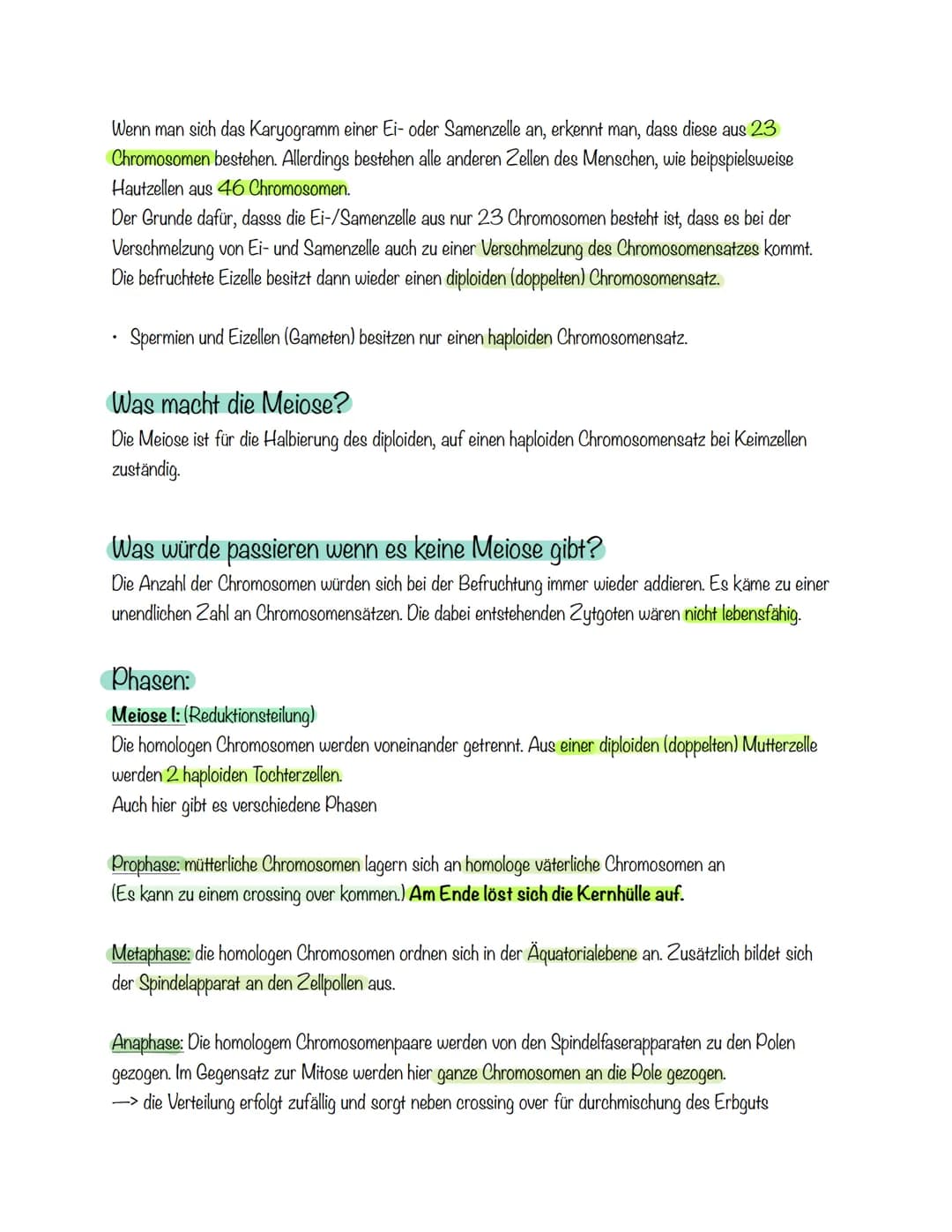 Wenn man sich das Karyogramm einer Ei- oder Samenzelle an, erkennt man, dass diese aus 23
Chromosomen bestehen. Allerdings bestehen alle and