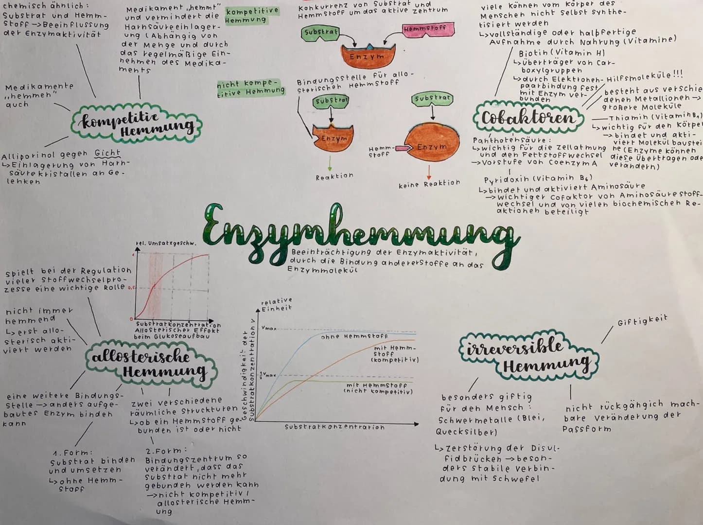 chemisch ähnlich:
Substrat und Hemm-
Stoff->Beeinflussung
der Enzymaktivität
Medikamente
hemmeh
quch
Medikament,,hemmt".
und vermindert die
