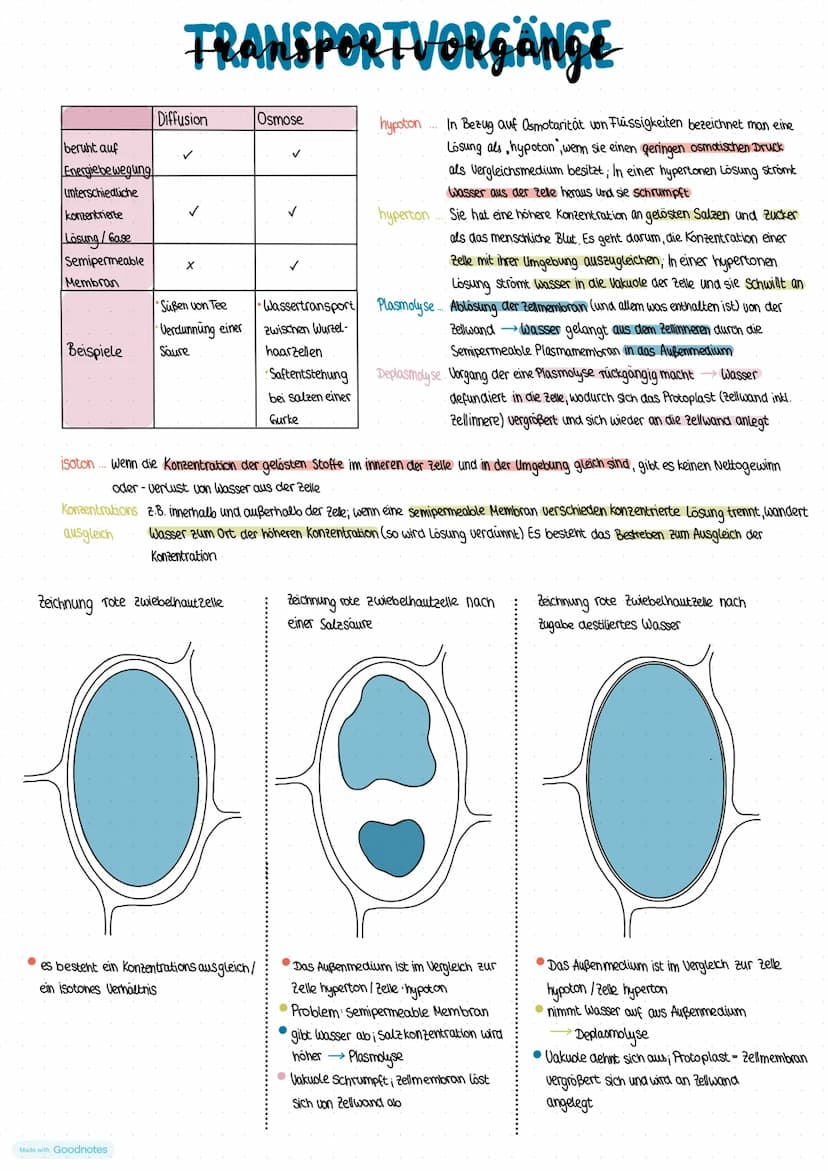 extrazellulärer
Raum
Phospholipid-
doppelschicht
= Doppellipid-
Schicht
intrazellulärer
Raum
Liposom
Mizelle.
0.00
Modellname
000000
•Doppel