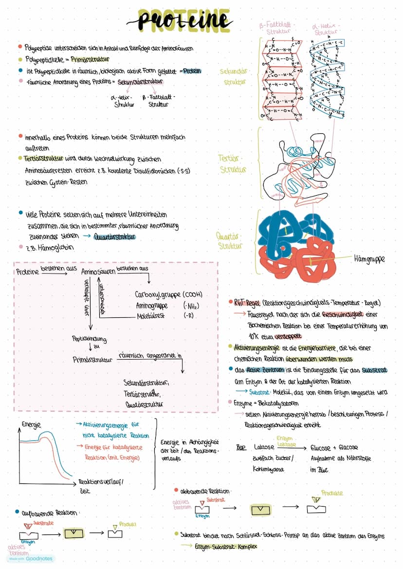 extrazellulärer
Raum
Phospholipid-
doppelschicht
= Doppellipid-
Schicht
intrazellulärer
Raum
Liposom
Mizelle.
0.00
Modellname
000000
•Doppel