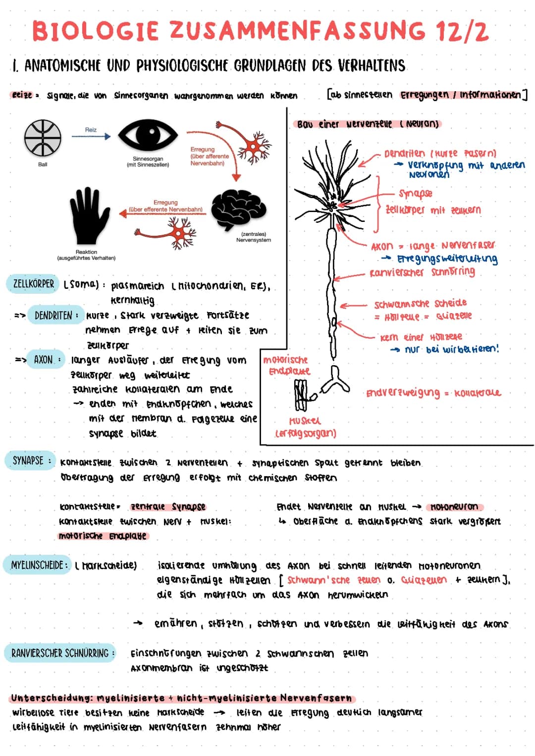 Biologie Zusammenfassung Klausur 12/2