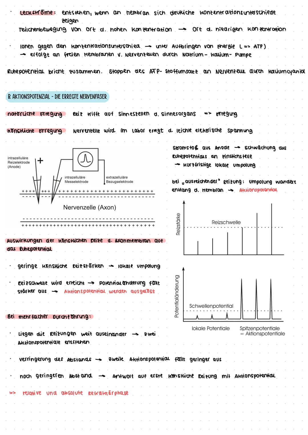 BIOLOGIE ZUSAMMENFASSUNG 12/2
I. ANATOMISCHE UND PHYSIOLOGISCHE GRUNDLAGEN DES VERHALTENS
Reize= Signale, die von Sinnesorganen wahrgenommen