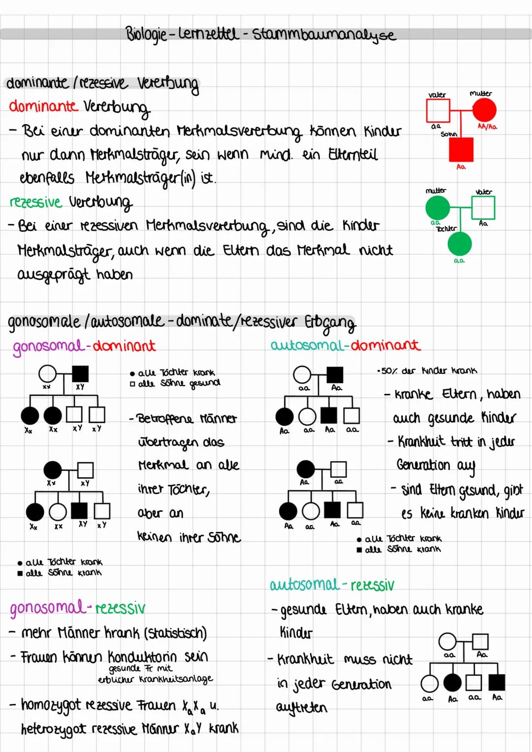 dominante /rezessive Vererbung
dominante Vererbung
· Bei einer dominanten Merkmalsvererbung können Kinder
nur dann Merkmalsträger, sein wenn