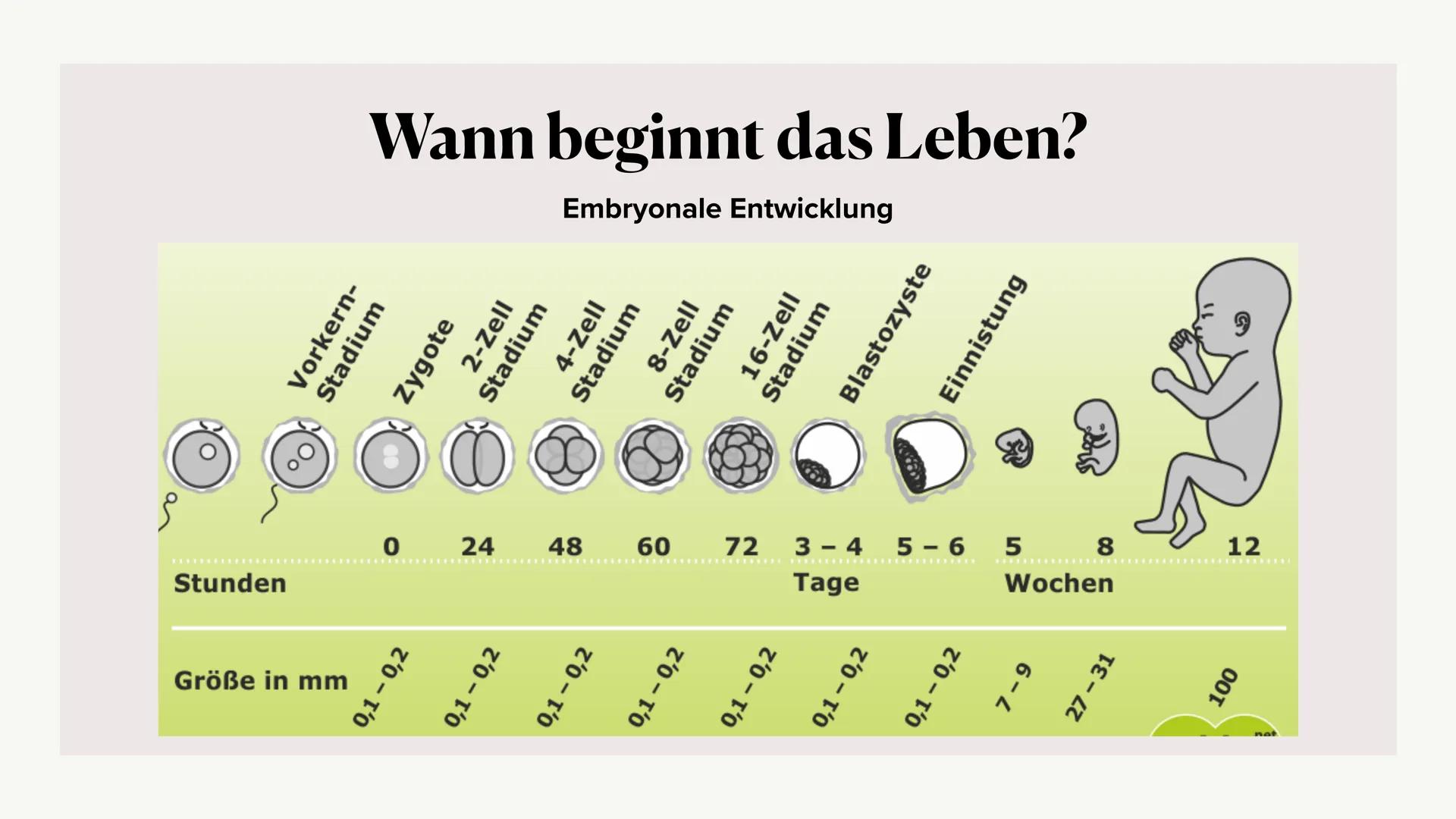 Schwangerschaftsabbrüche -
ethisch vertretbar? Allgemeine Informationen
Bis wann sind Abtreibungen möglich?
Methoden & Komplikationen
Kosten