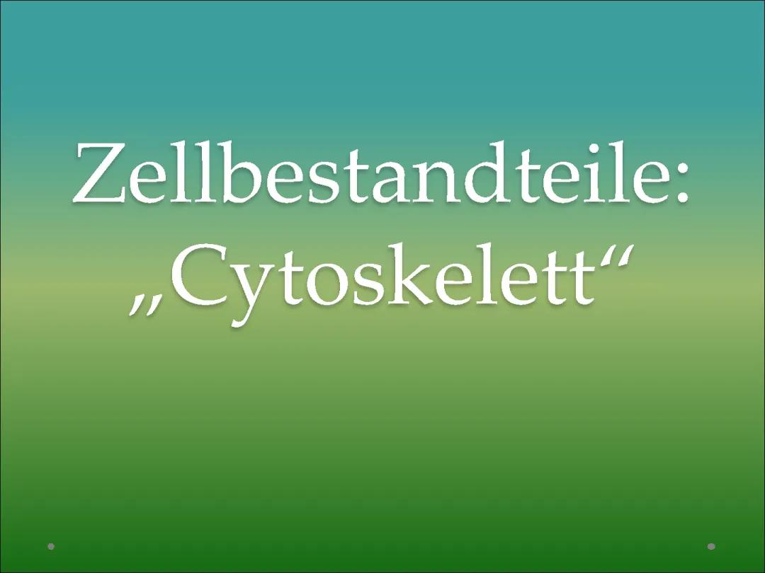 Cytoskelett