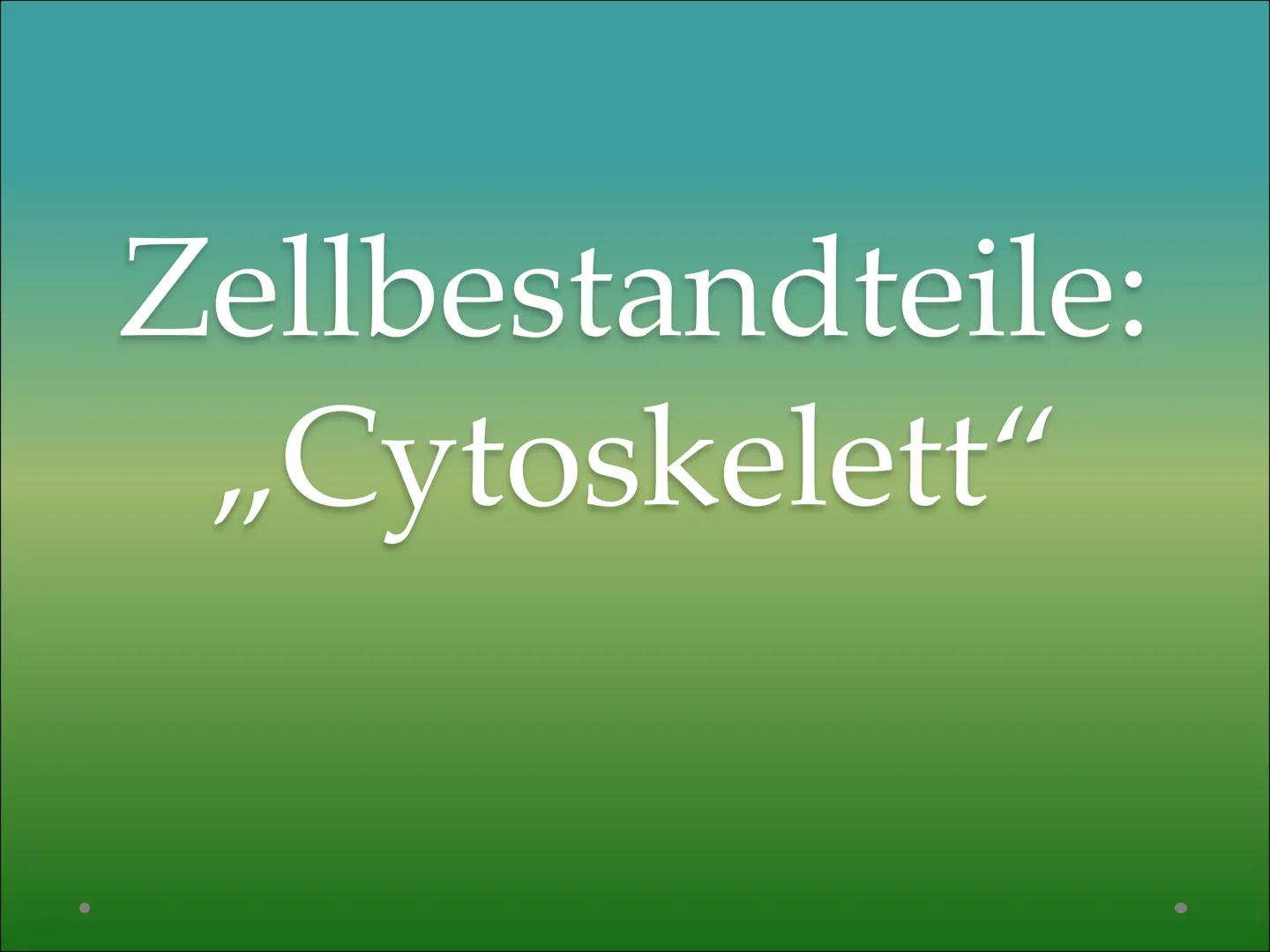 Zellbestandteile:
,,Cytoskelett" ●
●
Cytoskelett
Netzwerk feiner
Proteinstrukturen, die das
Cytoplasma durchziehen
Zellorganell in eukaryoti