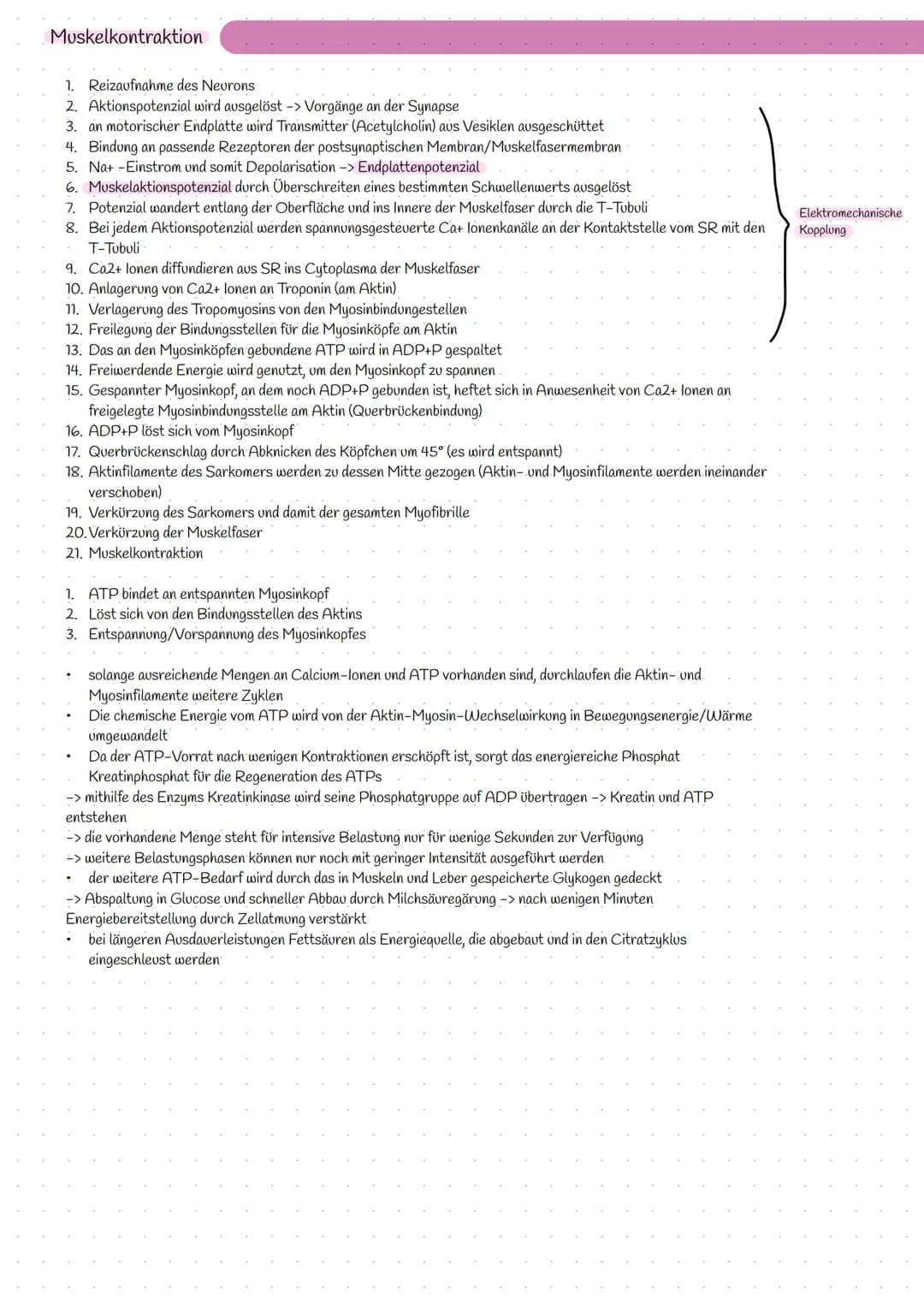 Bereitstellung von Energie aus Glucose
zur Aufrechterhaltung aller Lebensvorgänge/Lebensfunktion und chemische Prozesse wird Energie benötig