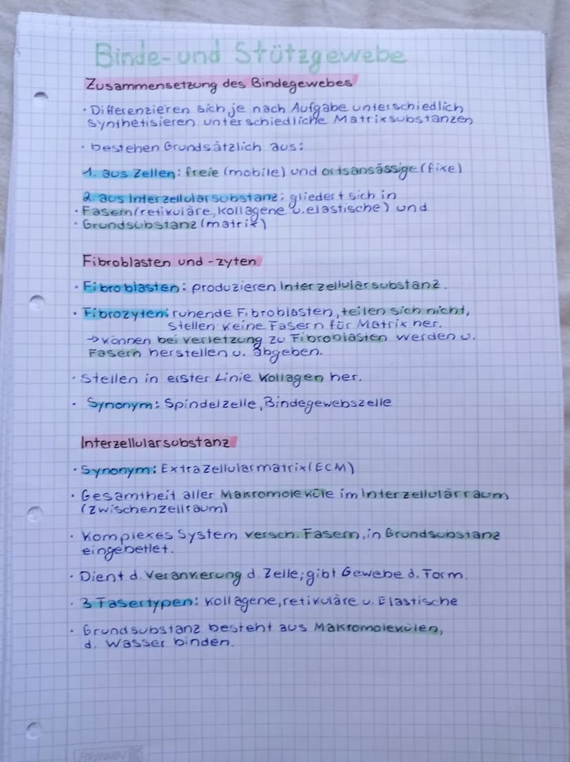 C
.
e
.
。
Parallelfaseriges, dichtes Bindegewebe
• Interzellularsubstanz nahezu nicht vorhanden.
.
Geflechtartiges, dichtes Bindegewebe
koll