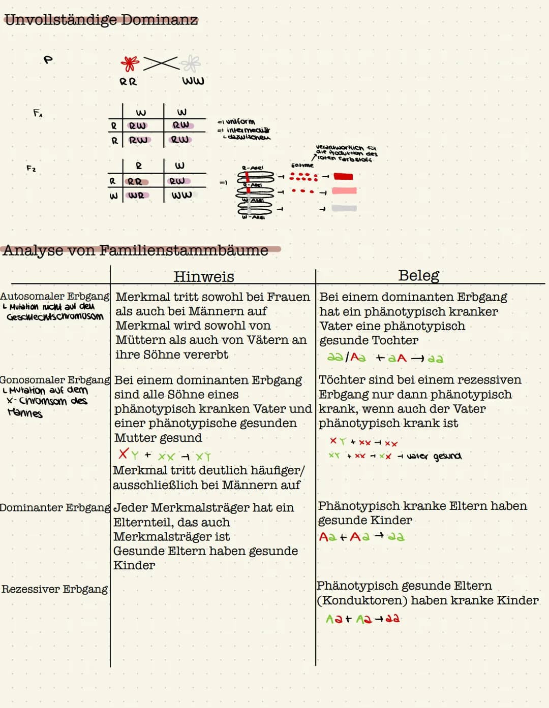 Genetik Gen:
●
●
Definition: Gen,Chromosom,Allel, Genom
Chromosom;
●
●
Abschnitt eines Chromosom, das ein Merkmal bestimmt
(klassische Genet