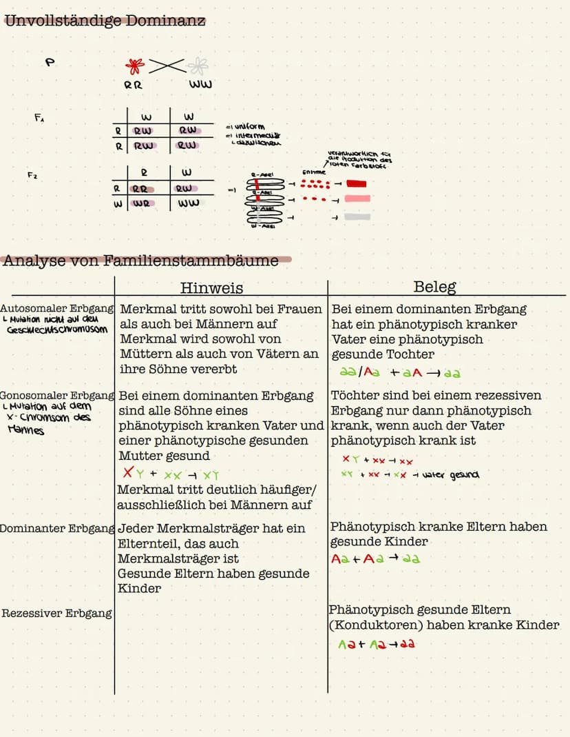 Genetik Gen:
●
●
Definition: Gen,Chromosom,Allel, Genom
Chromosom;
●
●
Abschnitt eines Chromosom, das ein Merkmal bestimmt
(klassische Genet