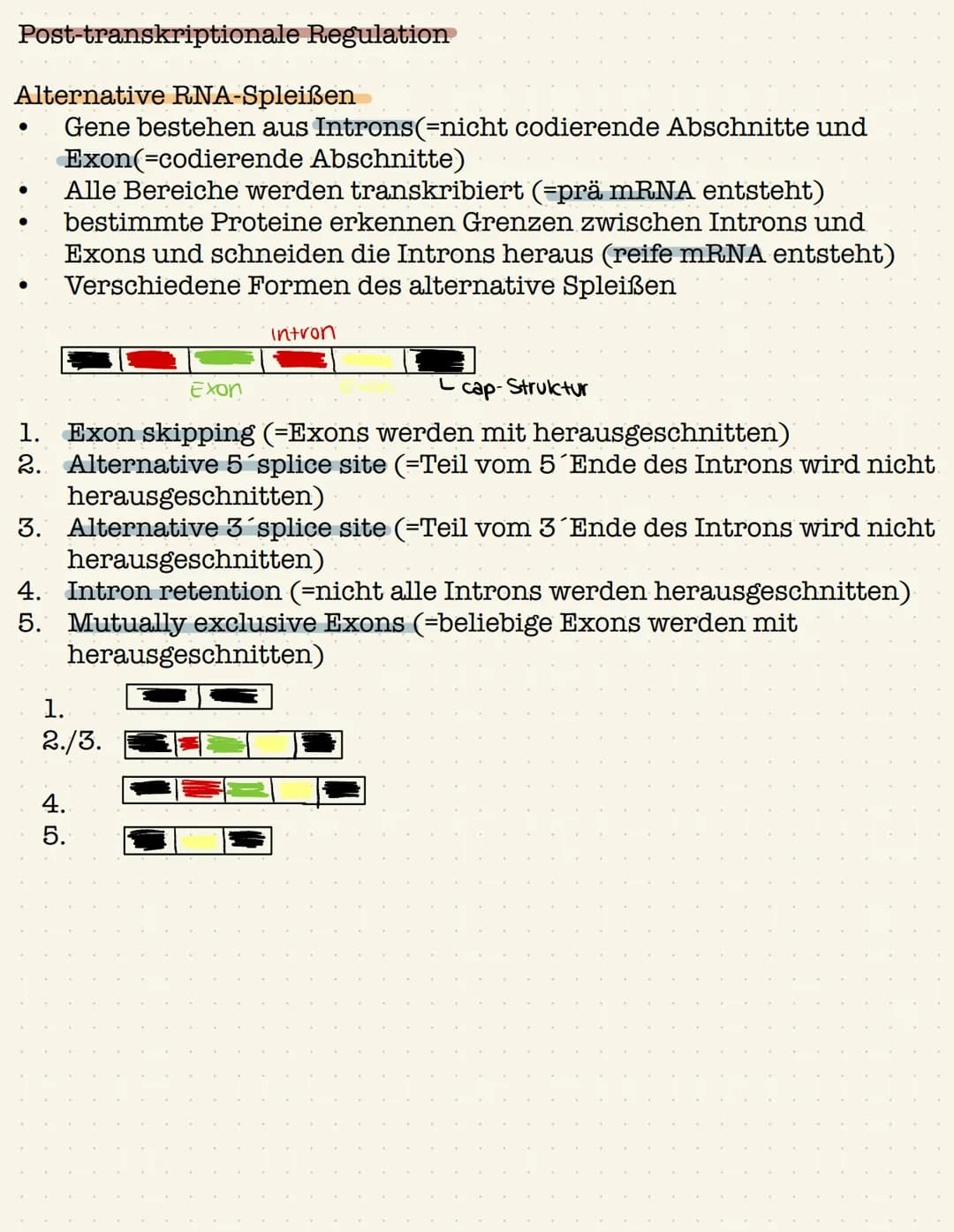 Genetik Gen:
●
●
Definition: Gen,Chromosom,Allel, Genom
Chromosom;
●
●
Abschnitt eines Chromosom, das ein Merkmal bestimmt
(klassische Genet