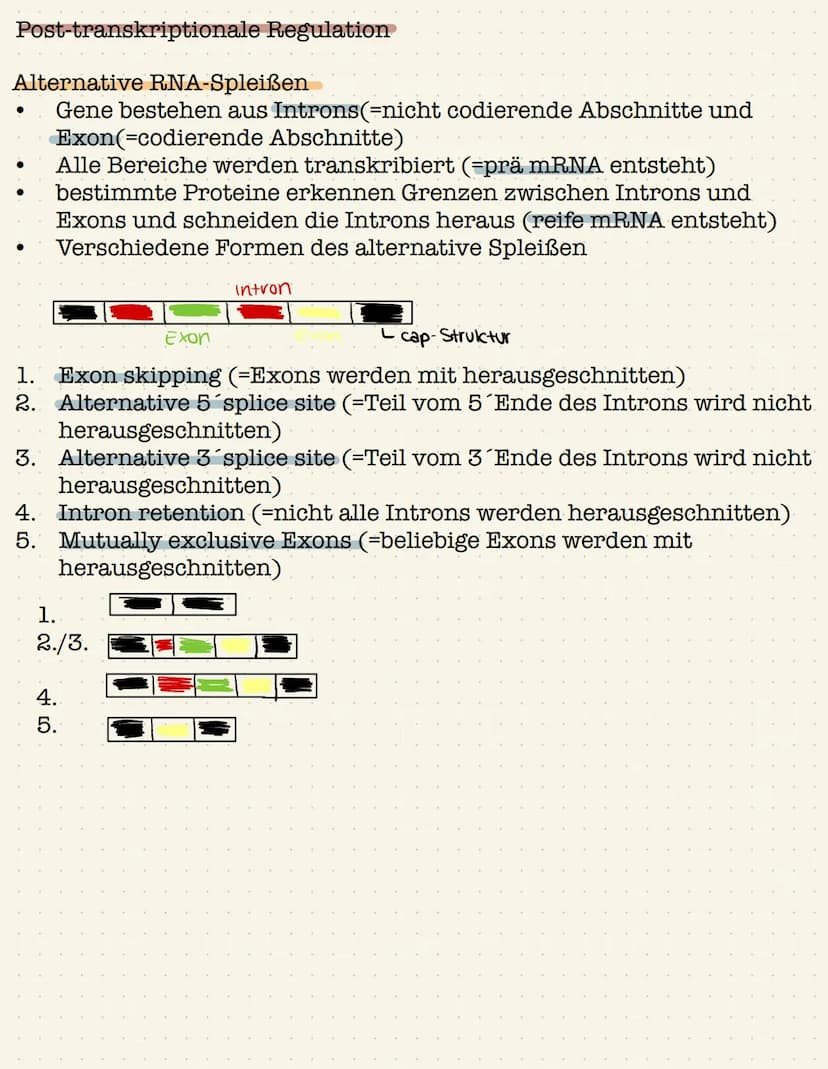 Genetik Gen:
●
●
Definition: Gen,Chromosom,Allel, Genom
Chromosom;
●
●
Abschnitt eines Chromosom, das ein Merkmal bestimmt
(klassische Genet