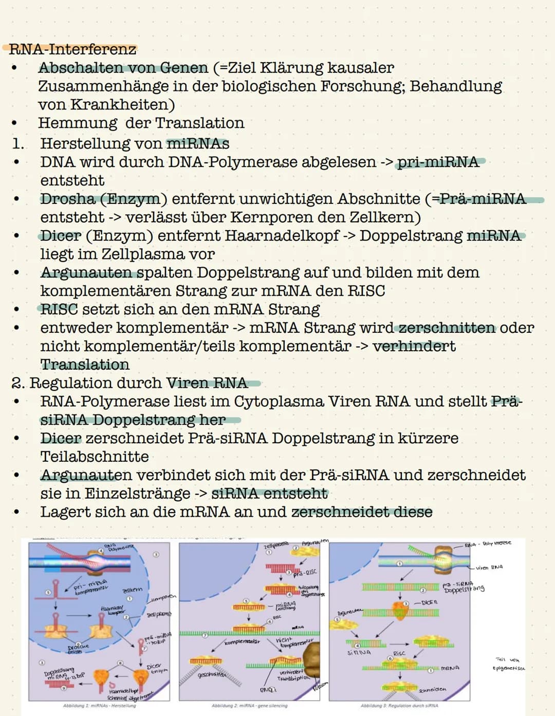 Genetik Gen:
●
●
Definition: Gen,Chromosom,Allel, Genom
Chromosom;
●
●
Abschnitt eines Chromosom, das ein Merkmal bestimmt
(klassische Genet
