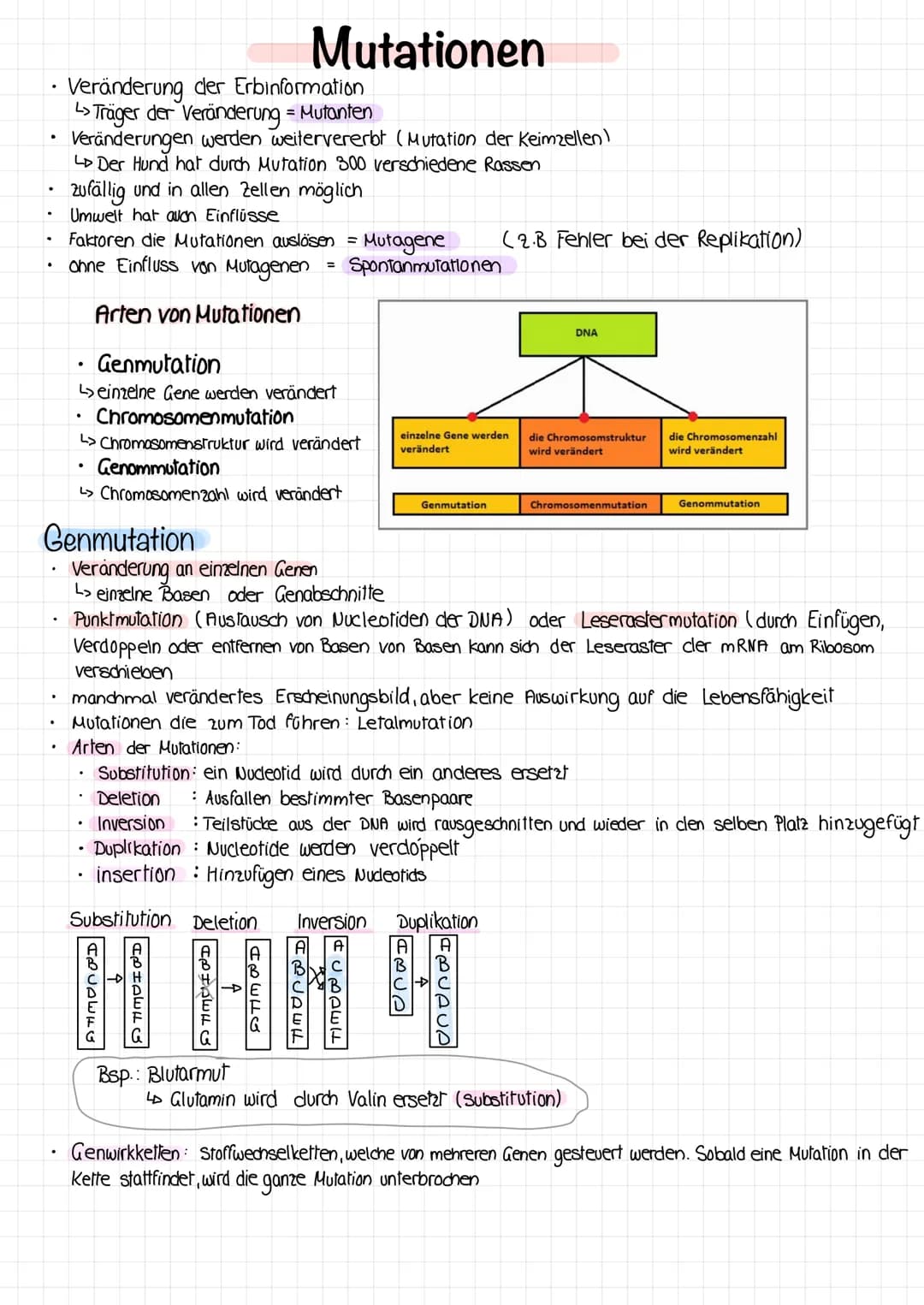 Genmutation/Punktmuation
1. Nonsense-Mutation
2. Missense - Mutation
codiert für ein Stopcodon in der Translation > Abbruch der Aminosäureke
