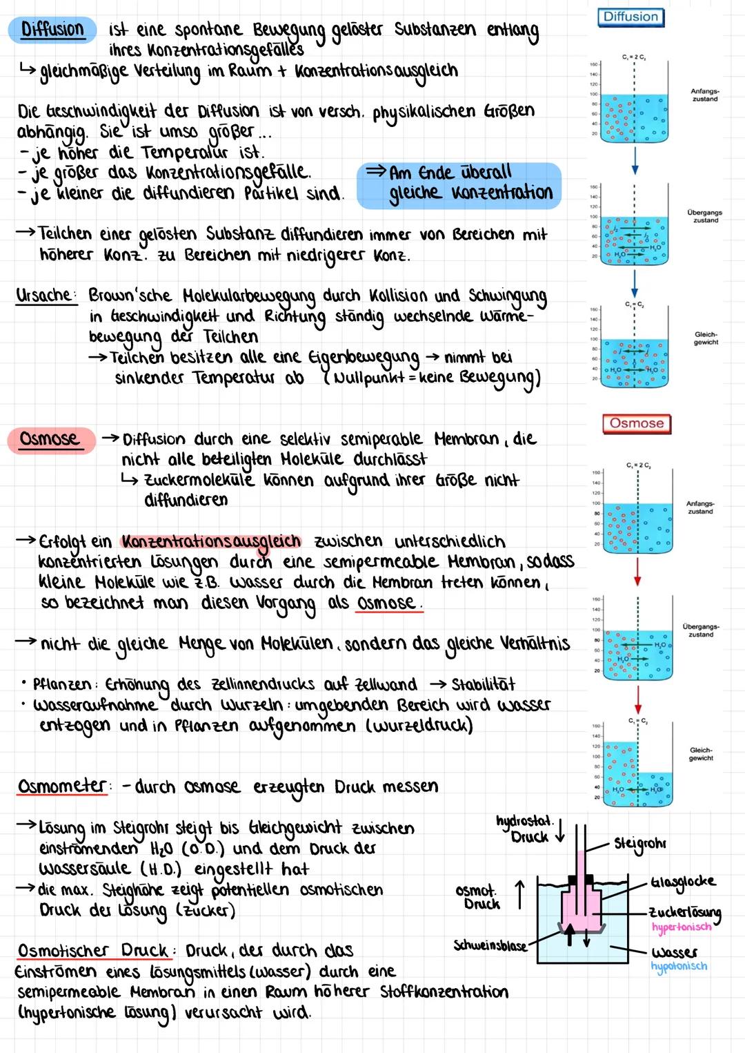 # Diffusion ist eine spontane Bewegung gelöster Substanzen entlang
ihres Konzentrationsgefälles
→gleichmäßige Verteilung im Raum + Konzentra