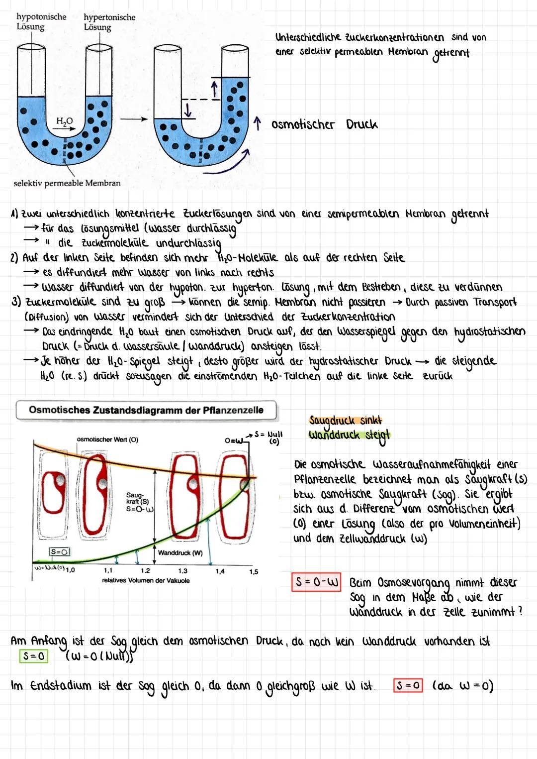 # Diffusion ist eine spontane Bewegung gelöster Substanzen entlang
ihres Konzentrationsgefälles
→gleichmäßige Verteilung im Raum + Konzentra