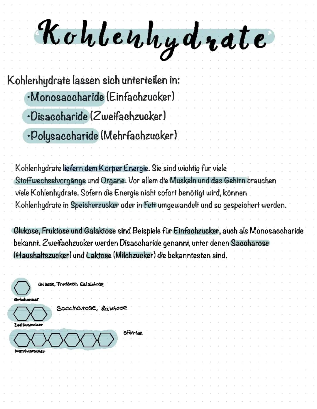 Kohlenhydrate 