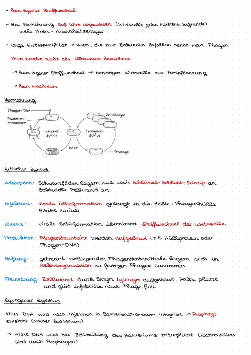 Q1.1 Von der DNA zum Protein
Aufbau und. Replikation der DNA
Watson- Crick- Modell
DNA besteht aus Nukleotiden, welche aus Zucker (Desoxyrib