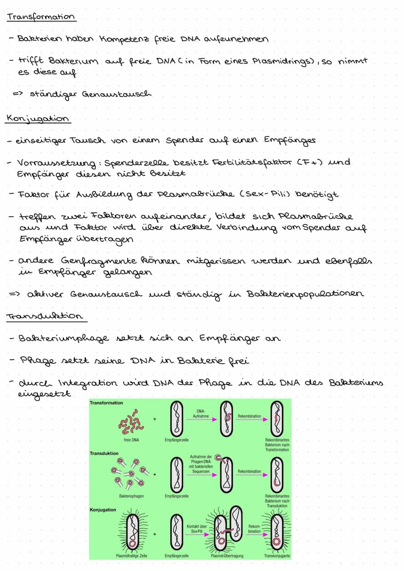 Q1.1 Von der DNA zum Protein
Aufbau und. Replikation der DNA
Watson- Crick- Modell
DNA besteht aus Nukleotiden, welche aus Zucker (Desoxyrib