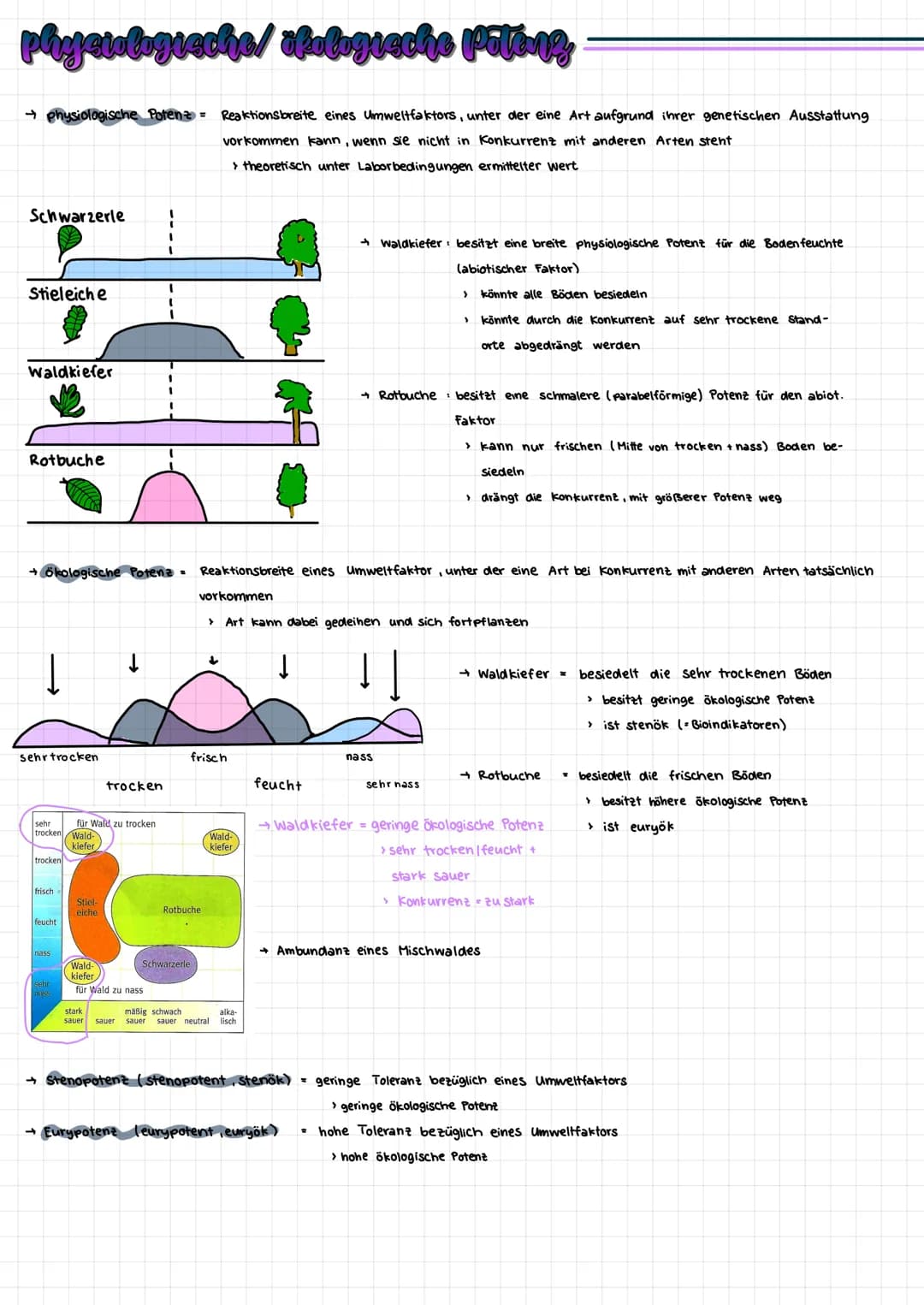 phycuologiache/ikologische Potenz
ogische Potenz = Reaktionsbreite eines Umweltfaktors, unter der eine Art aufgrund ihrer genetischen Aussta