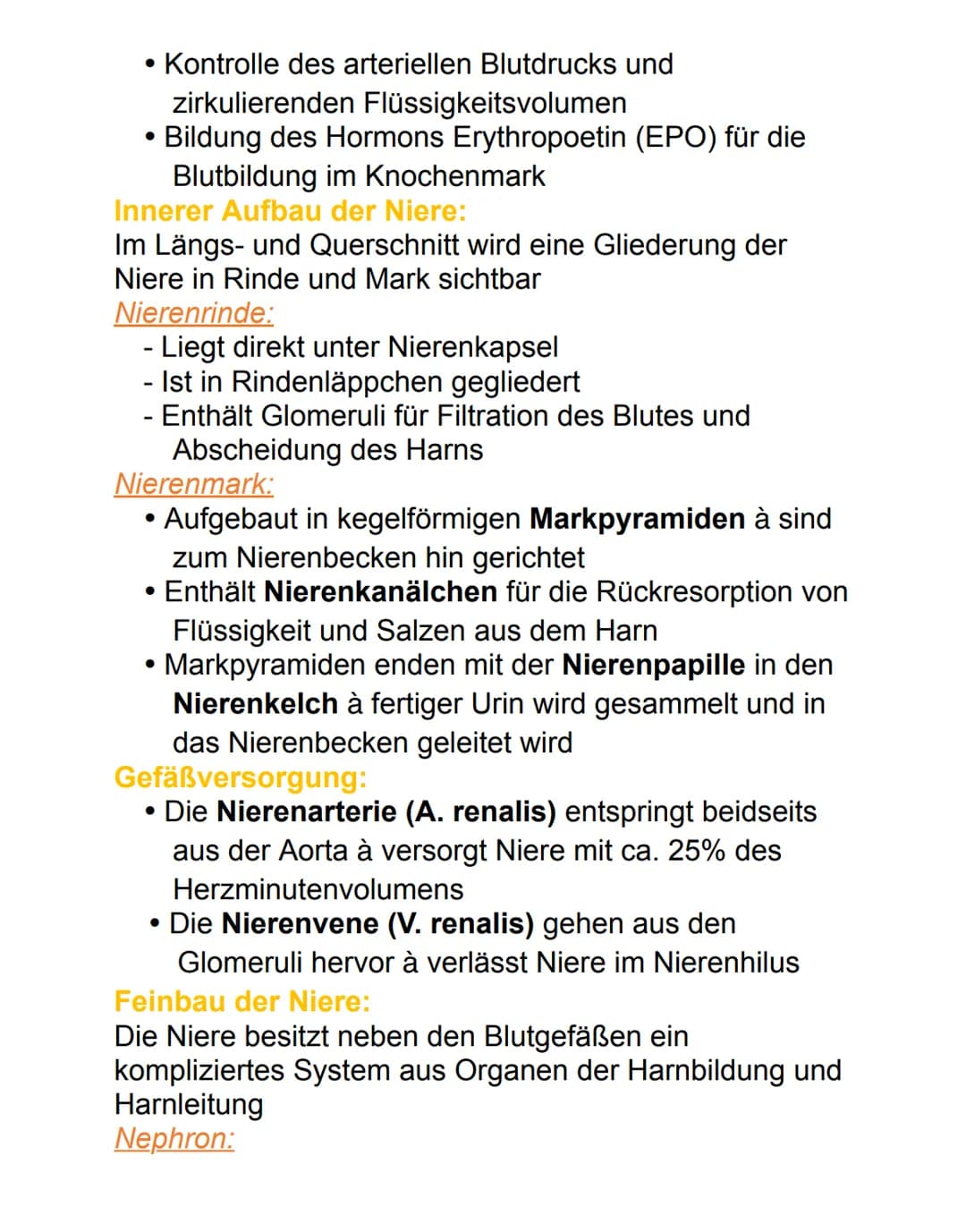Niere
Die paarig angelegten Nieren befinden sich
retroperitoneal neben der Wirbelsäule auf Höhe des
12. Brust- bis 3. Lendenwirbels. Die rec