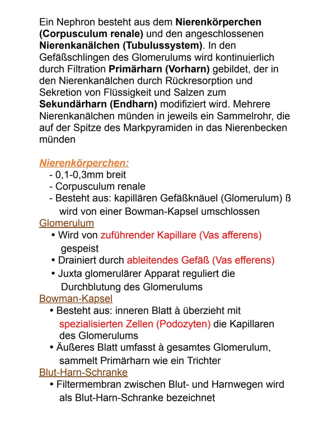 Niere
Die paarig angelegten Nieren befinden sich
retroperitoneal neben der Wirbelsäule auf Höhe des
12. Brust- bis 3. Lendenwirbels. Die rec
