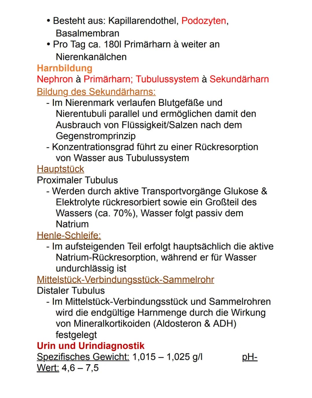 Niere
Die paarig angelegten Nieren befinden sich
retroperitoneal neben der Wirbelsäule auf Höhe des
12. Brust- bis 3. Lendenwirbels. Die rec