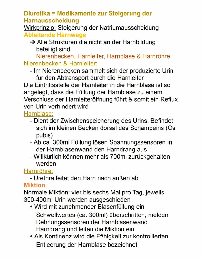 Niere
Die paarig angelegten Nieren befinden sich
retroperitoneal neben der Wirbelsäule auf Höhe des
12. Brust- bis 3. Lendenwirbels. Die rec