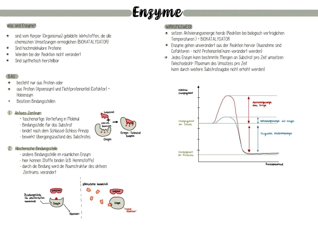 Enzyme