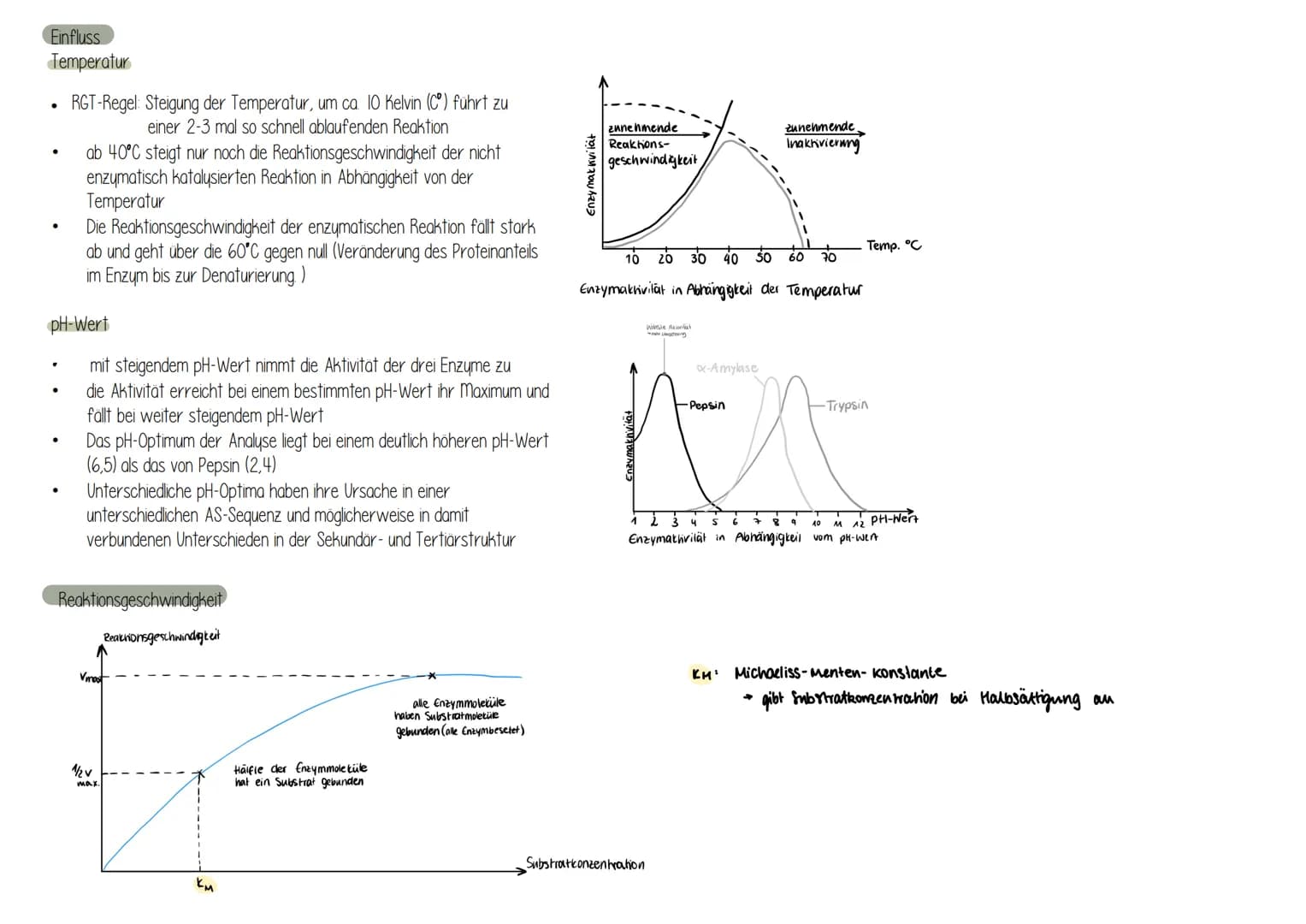 Was sind Enzyme?
sind vom Körper (Organismus) gebildete Wirkstoffen, die alle
chemischen Umsetzungen ermöglichen (BIOKATALYSATOR)
Sind hochm