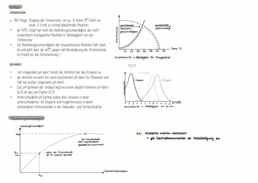 Was sind Enzyme?
sind vom Körper (Organismus) gebildete Wirkstoffen, die alle
chemischen Umsetzungen ermöglichen (BIOKATALYSATOR)
Sind hochm