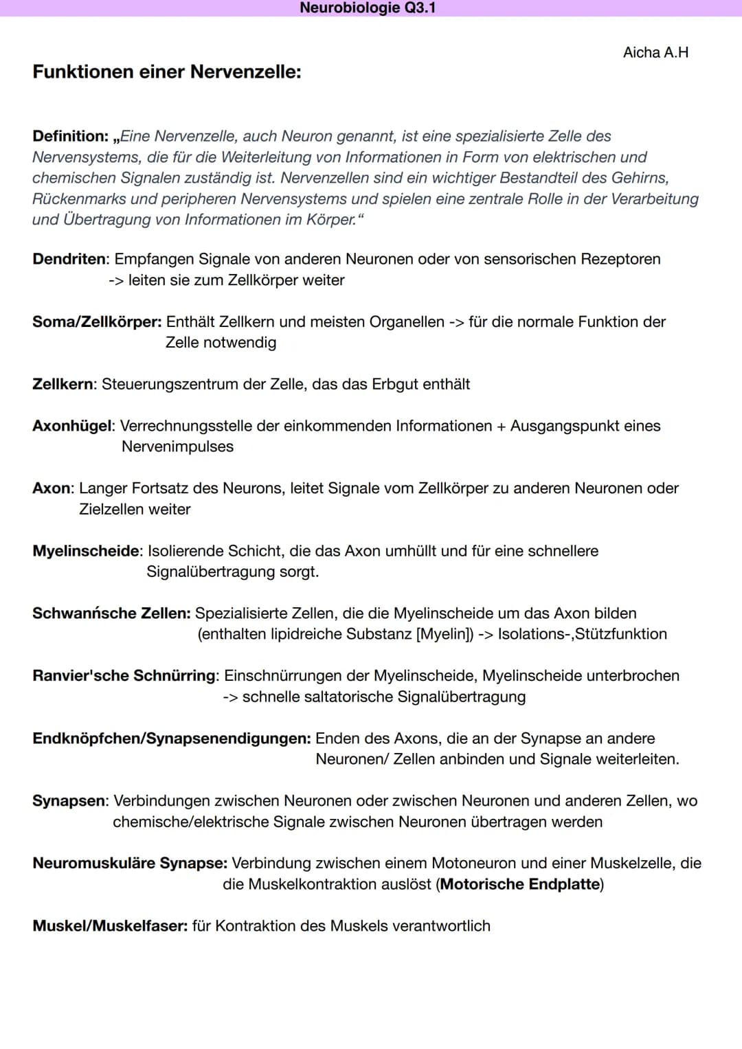 DAS NEURON (NERVENZELLE)
Dentriten
Bau und Funktion der Nervenzelle
Soma
Zellkern
Schwann'sche Zelle
Muskel (-faser)
B
Zellkern
Neurobiologi