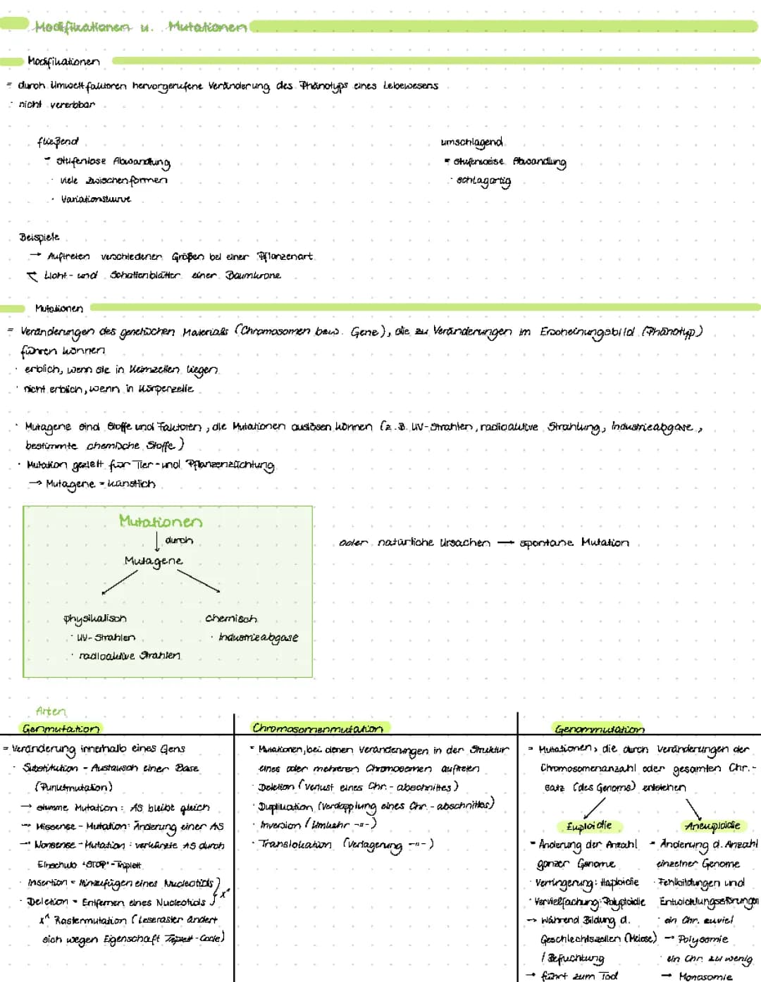 Mutationen und Modifikationen
