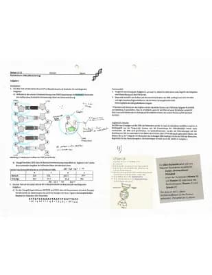 Know Lösungen + Erklärungen vom AB „Arbeitsblatt: Nucleotidsäuren, DNA Aufbau  thumbnail