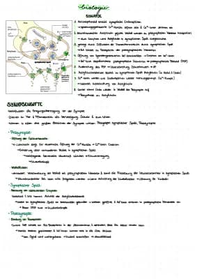 Know Synapse thumbnail