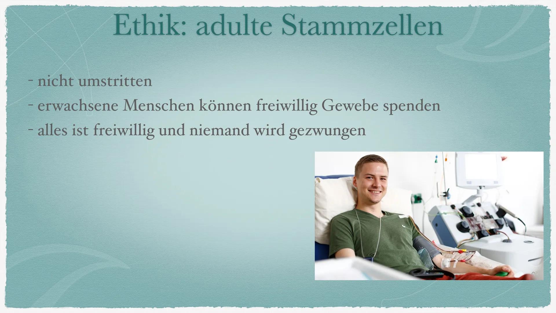 Stammzellen Gliederung
1. Was sind Stammzellen?
2. Wo findet man Stammzellen?
3.
Welche Art von Stammzellen gibt es?
4. Ethik: embryonale St
