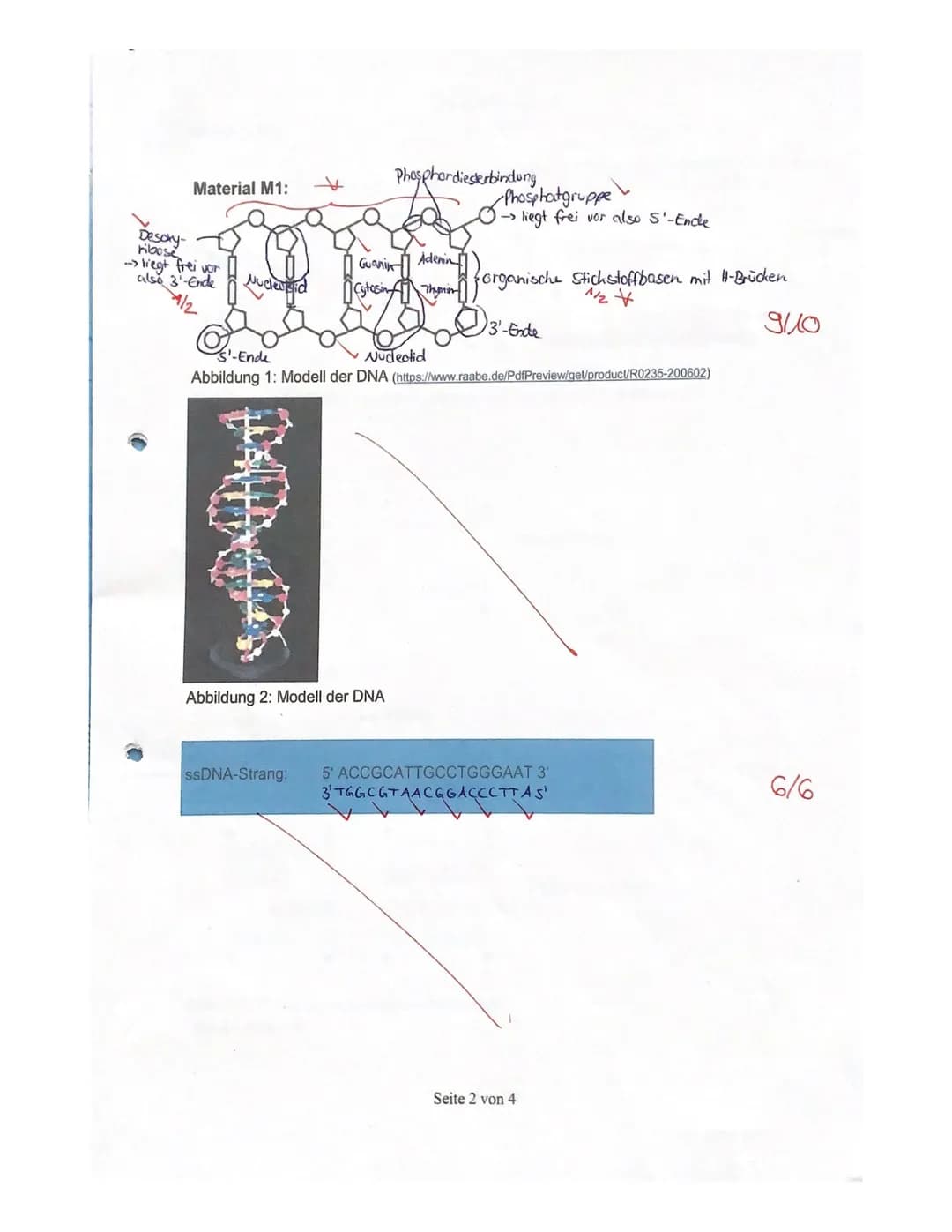 1. Kursarbeit
Viel Erfolg!!!
Thema: Genetik
33/34 DNA
12B12
91. Beschriften Sie die Abbildung 1 in Material M1. (1)
2. Bestimmen Sie den pro