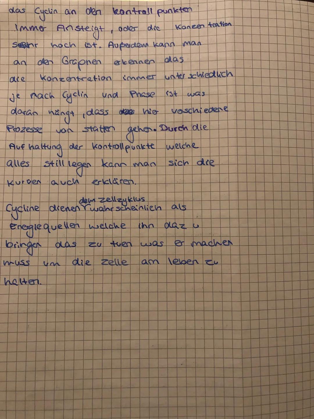 EF Biologie GK 3 -
Material 2.2: Der Zellzyklus
Der Prozess der Zellverdopplung setzt sich aus der Mitose und der Interphase zusammen. Die
I