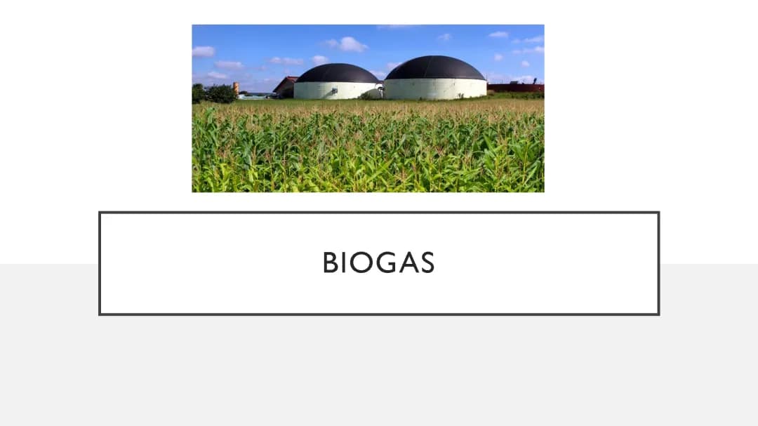 Biogas