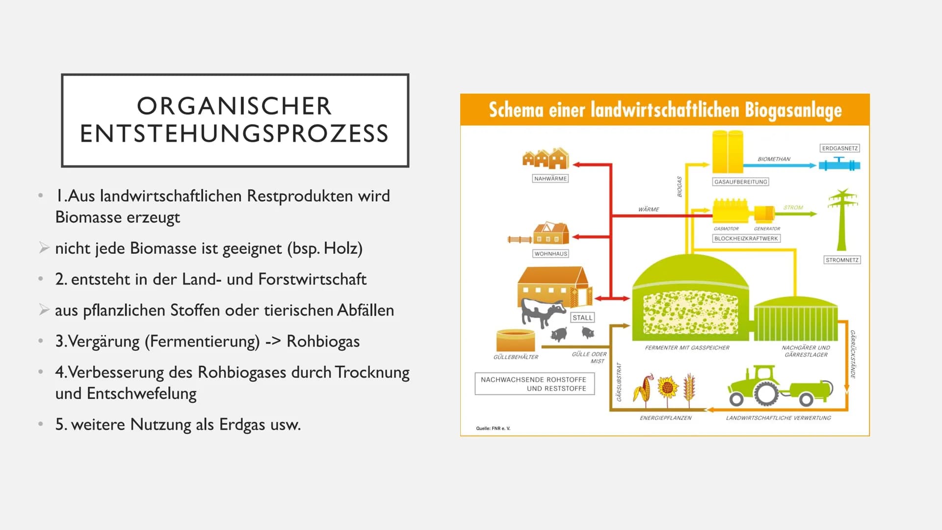 Handout - Biogas
Definition/Eigenschaften:
Der organische Entstehungsprozess:
●
Brennbares Gasgemisch aus den Hauptkomponenten
Methan und Ko
