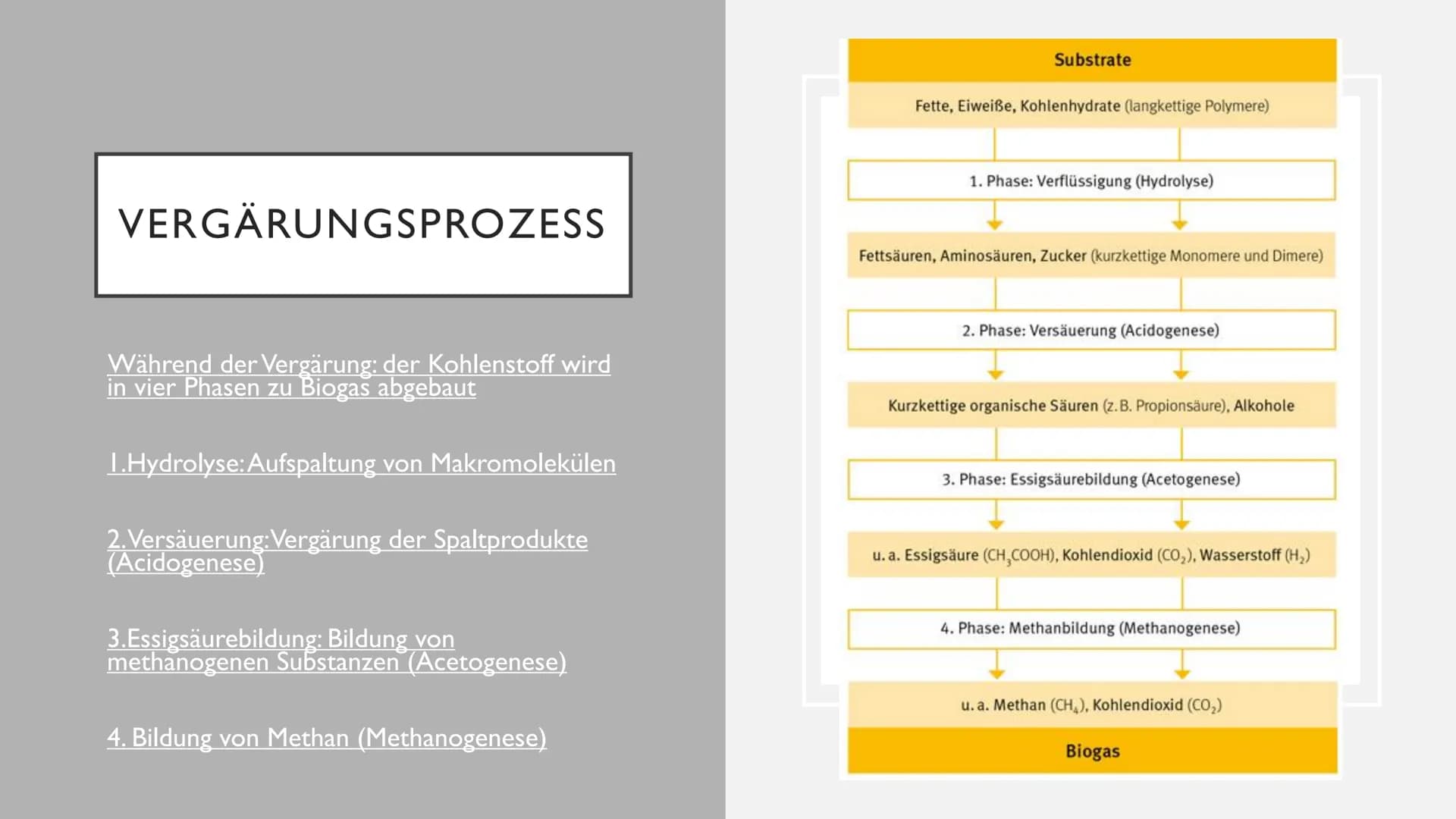 Handout - Biogas
Definition/Eigenschaften:
Der organische Entstehungsprozess:
●
Brennbares Gasgemisch aus den Hauptkomponenten
Methan und Ko