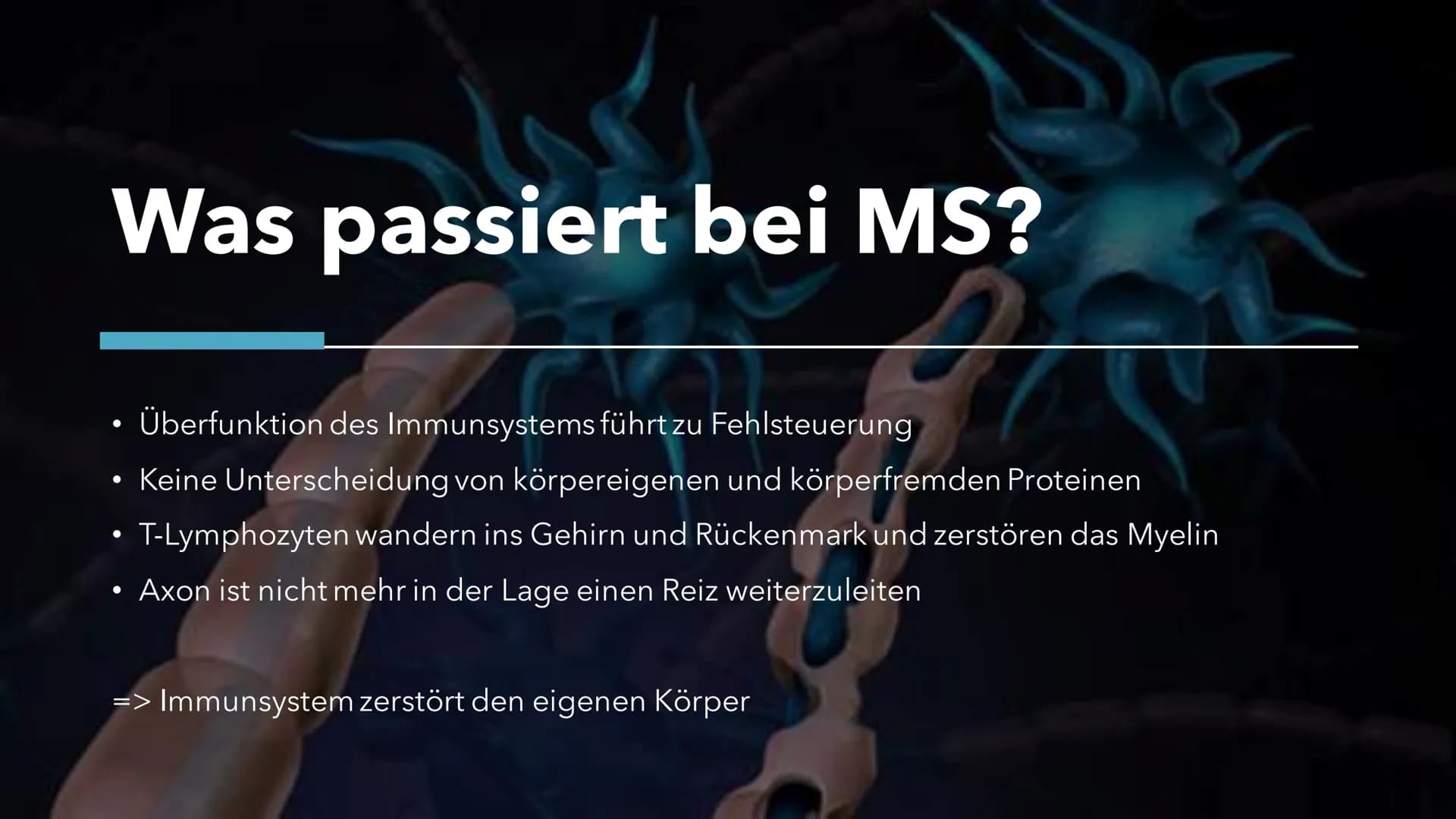 Multiple Skelrose (MS)
Die Krankheit der tausend Gesichter Gliederung
1. Allgemeine Fakten
2.
Was ist MS?
3. Was passiert bei MS?
4.
Ursache