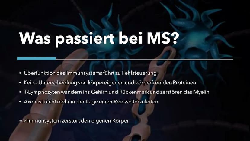 Multiple Skelrose (MS)
Die Krankheit der tausend Gesichter Gliederung
1. Allgemeine Fakten
2.
Was ist MS?
3. Was passiert bei MS?
4.
Ursache